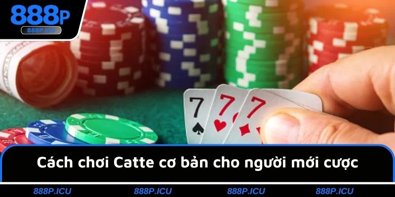 Cách chơi Catte cơ bản cho người mới cược