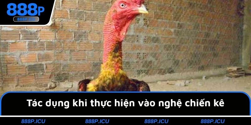 Tác dụng khi thực hiện vào nghệ chiến kê